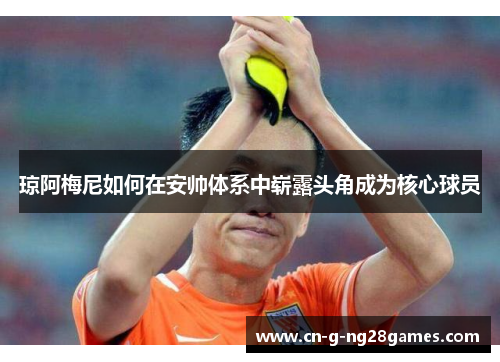 琼阿梅尼如何在安帅体系中崭露头角成为核心球员 琼阿梅尼如何在安帅体系中崭露头角成为核心球员