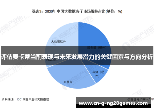 评估麦卡蒂当前表现与未来发展潜力的关键因素与方向分析